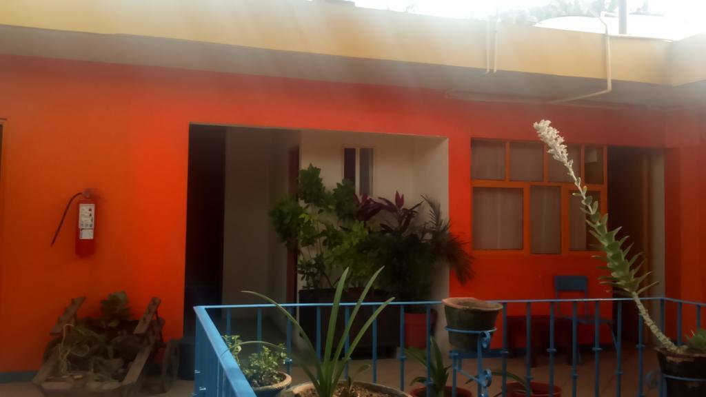 Hostal Zipolite Arteaga Oaxaca Exteriér fotografie
